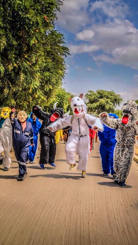 Festival de la Danza de Los Negritos y Las Pastorcitas