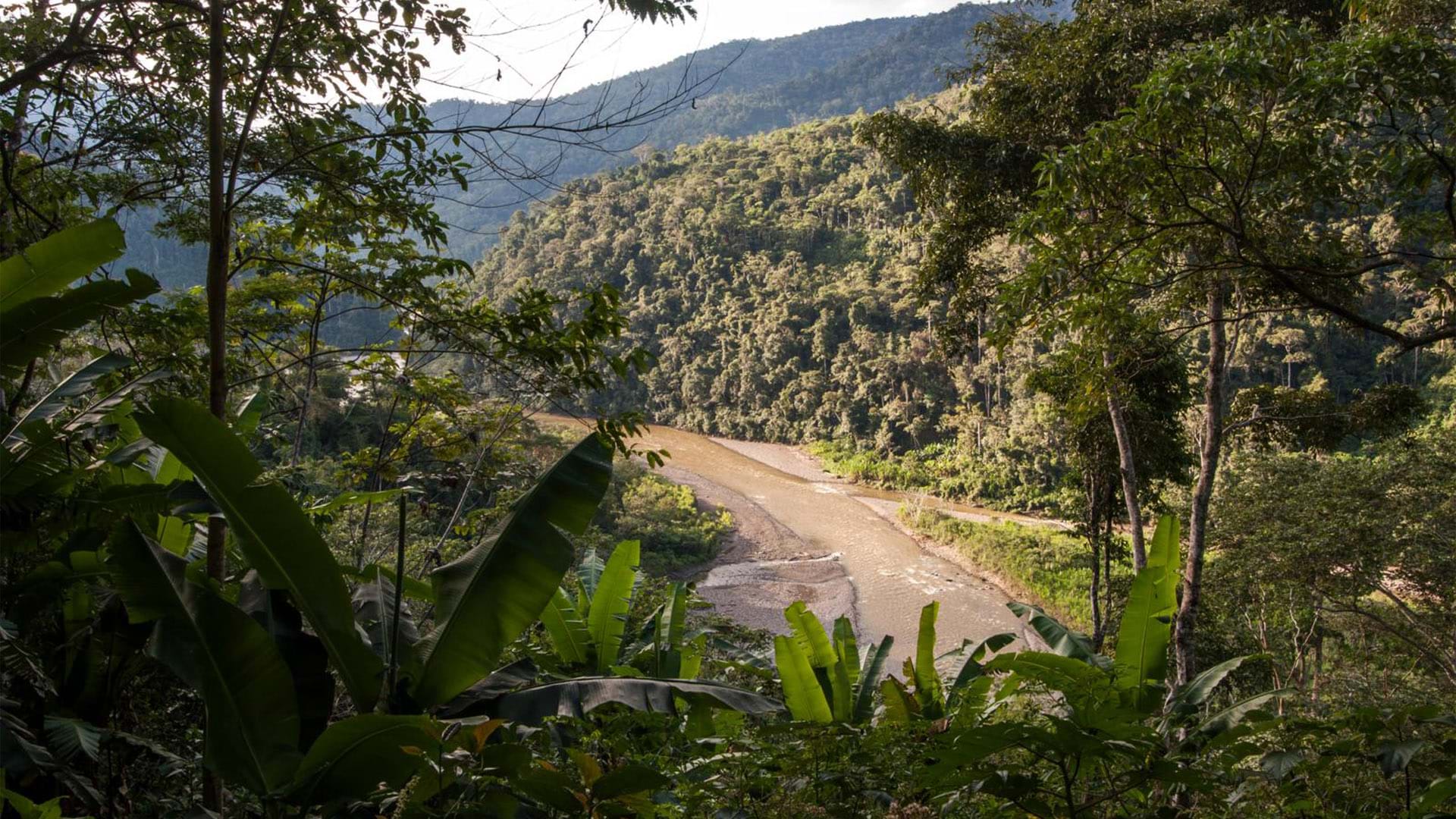 Parque Nacional Bahuaja Sonene