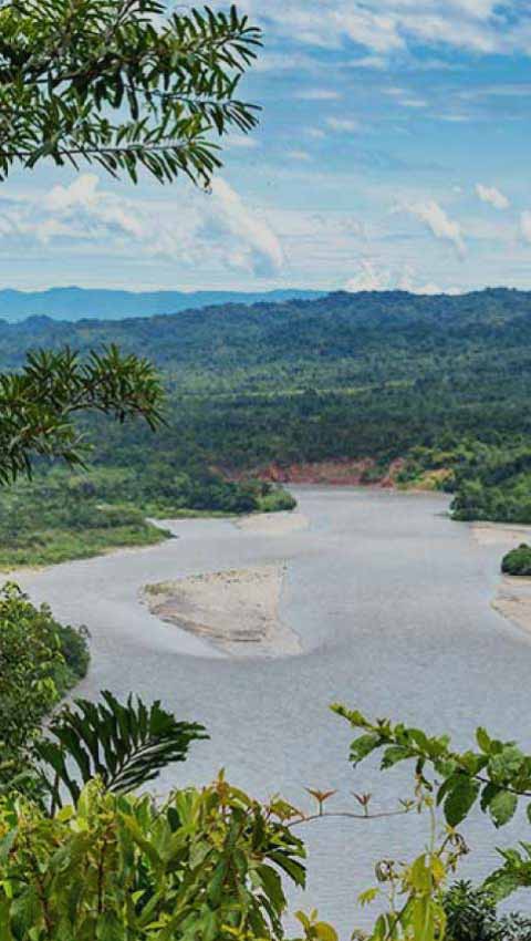 Parque Nacional del Manu