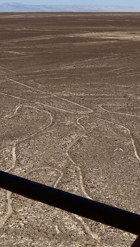 Turista en las Líneas de Nasca