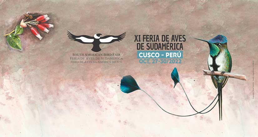 xi-cusco-feria-aves-sudamerica