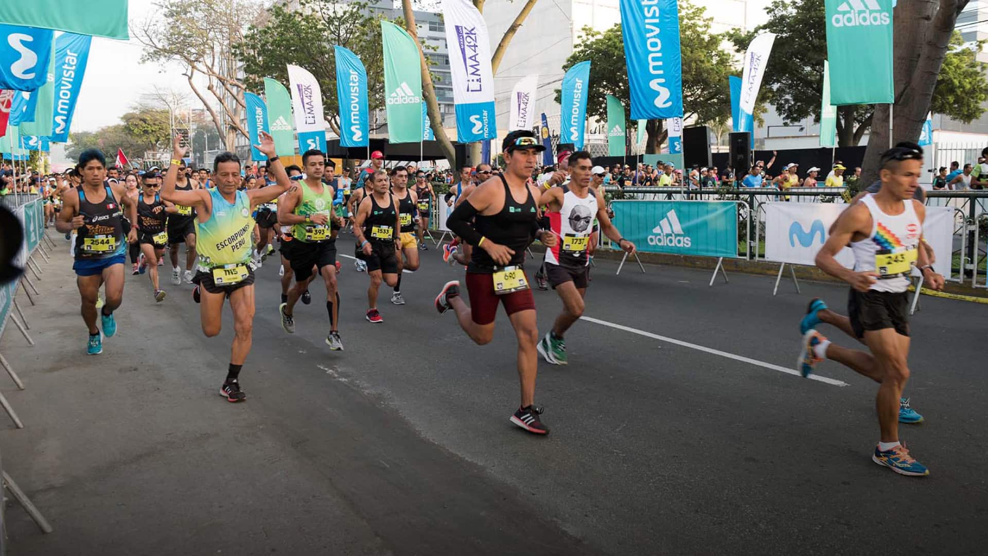 Adidas 42 km 2019 online