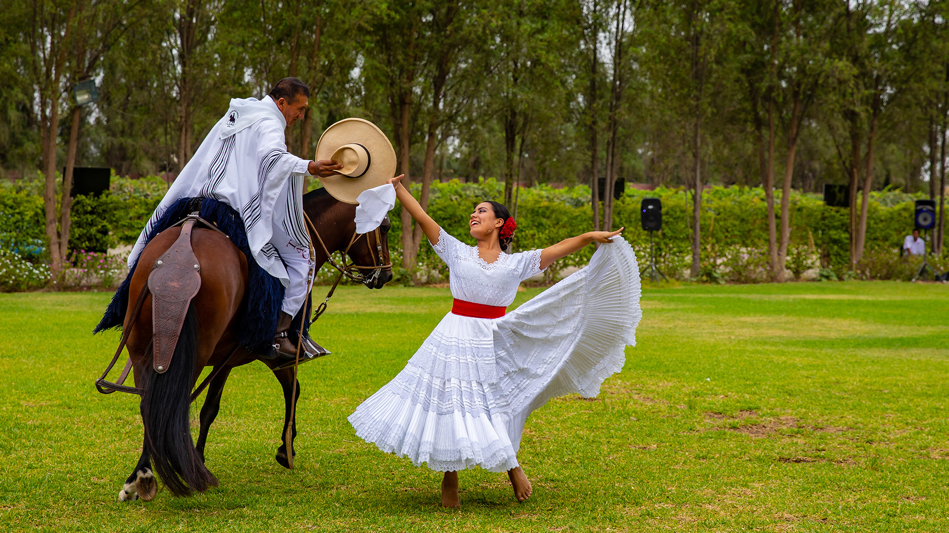 paso de caballo