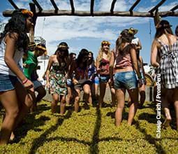 Pigiatura dell'uva durante la vendemmia ad Azpitia