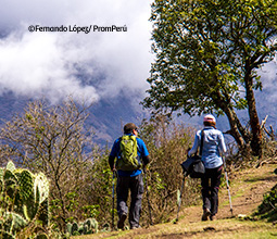 Trekking in der Natur