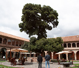 Tourism in the Center of Cusco