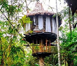 Lodging in the Inca Trail