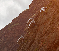 Lodging in the mountains