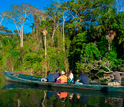 Tourist sailing in a boat on a river in Madre de Dios
