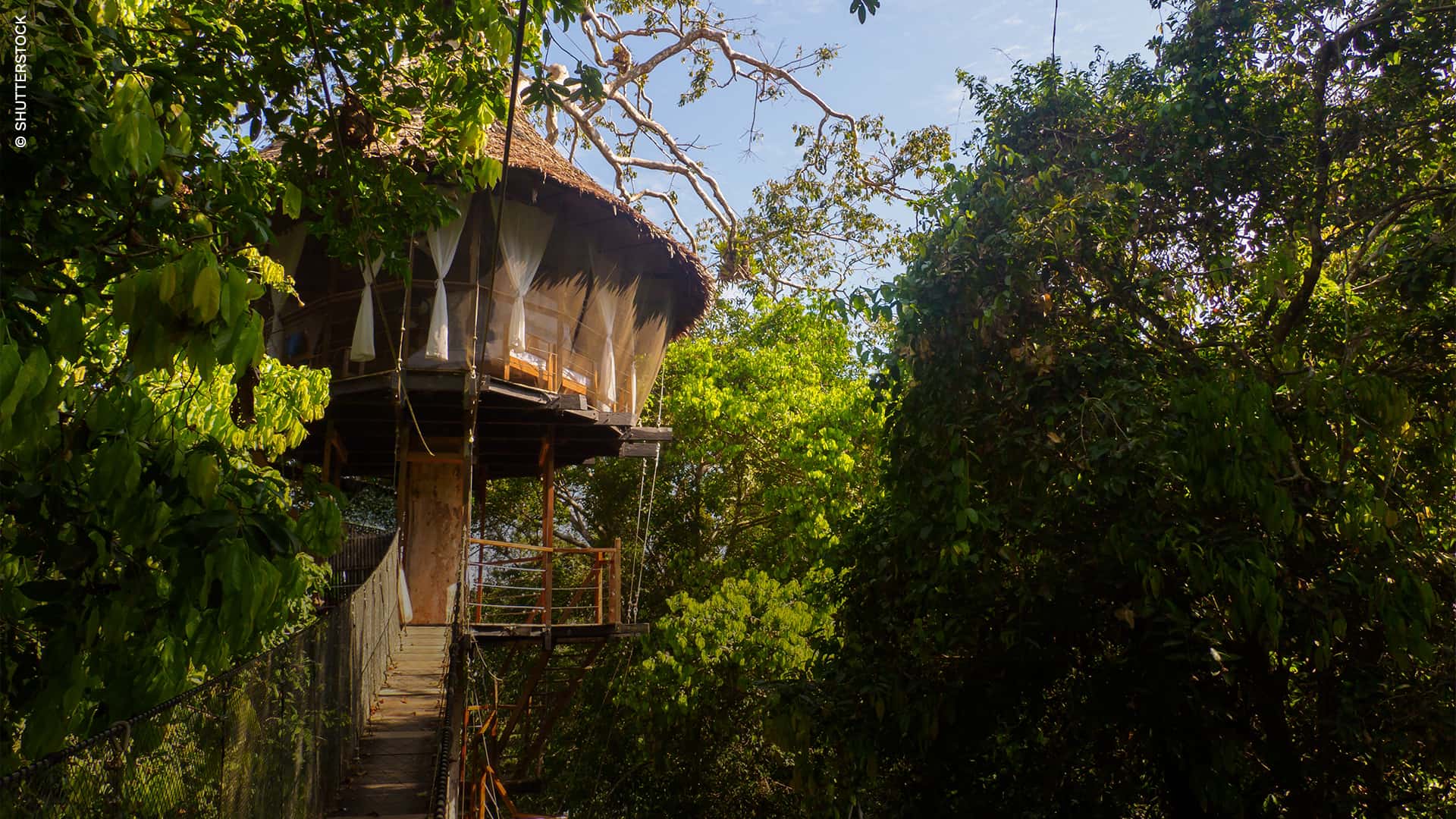 Glamorous accommodations in the Amazon rainforest