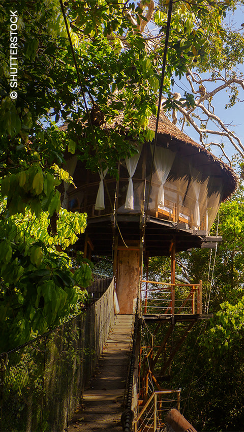 Glamorous accommodations in the Amazon rainforest