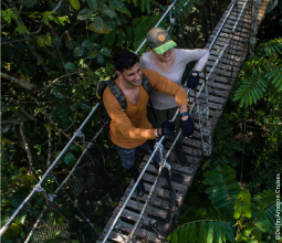 disfrutando-la-vista-en-el-canopy-walkway-mosaico6