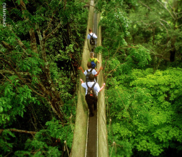 grupo-realizando-canopy-walkway-en-loreto-mosaico2