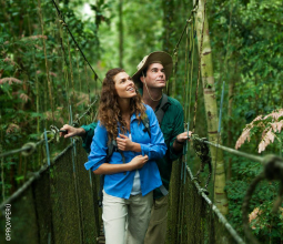 pareja-realizando-canopy-walkway-en-loreto-mosaico1