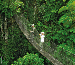 realizando-canopy-walkway-en-madre-de-dios-mosaico3