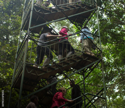 turistas-subiendo-a-alturas-para-realizar-canopy-mosaico5