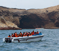 Tourists on a yacht along the coast of Ica