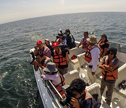 Tourists walking on a yacht along the coast of Ica