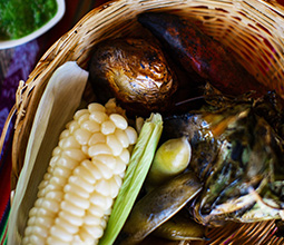 Corn in the Sacred Valley