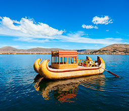 Totora horses in Titicaca Lake