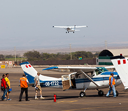 Turists in the airfield