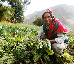 Peasant from the Lamay community