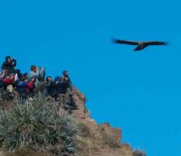 Tourism in Colca canyon