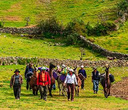 Trekking in Cusco