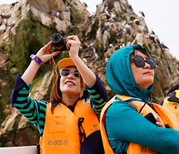 Tourists photographing the fauna of Paracas