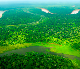 Aerial view of the Manu National Park