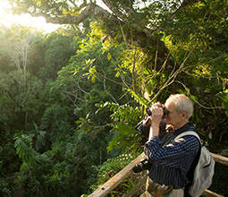 Birdwatching in the Manu National Park