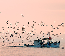 Fishing boat in Cabo Blanco