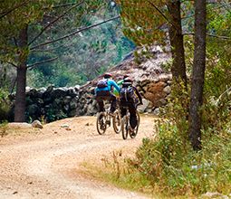 View of tourists practicing mountain biking