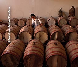 Recorre las bodegas de vino en Moquegua. Recorre las bodegas de vino en Moquegua.