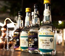 Prueba las diversas marcas de pisco y vino que Tacna ofrece.