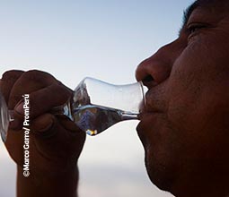 Degusta del pisco, la bebida bandera del Perú, en su esencia más pura