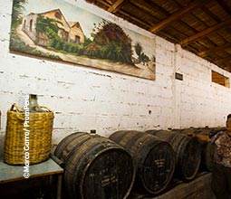 La Bodega Don Miguel, en el distrito de Pocollay, es una de las más representativas de la zona.