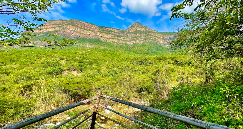 Chaparrí.