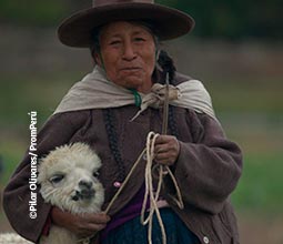 Campesina de Raqchi, junto a una alpaca.