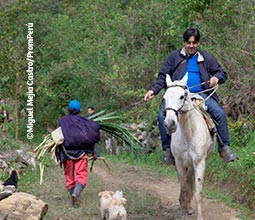 Trekking de Cocachimba hacia la Catarata de Gocta. Trekking de Cocachimba hacia la Catarata de Gocta.