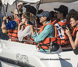 Avistamiento de ballenas en Tumbes