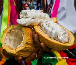 La ruta del cacao en Tarapoto