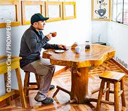 6-catando-cafe-mosaico