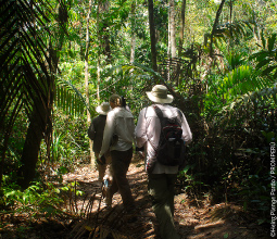 caminata de observación de la biodiversidad