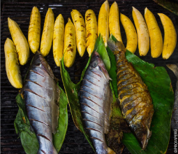 gastronomia local de la amazonia peruana