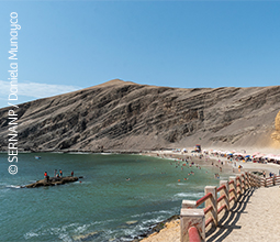 3-playa-la-mina--mosaico