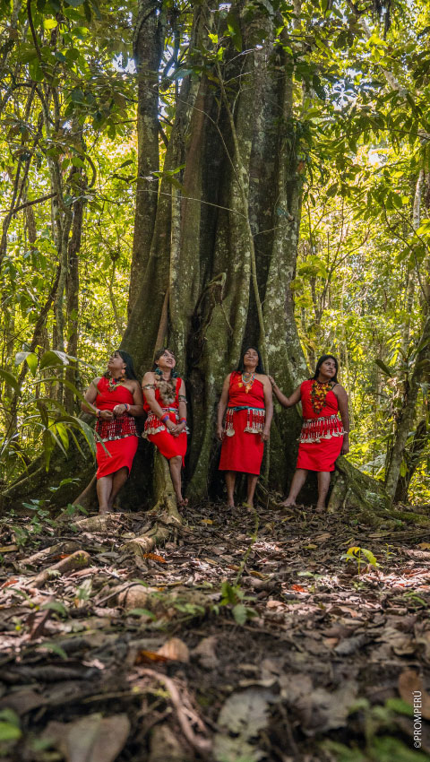 Bosque de las Nuwas