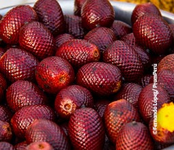 Venta de aguaje en un mercado de Loreto