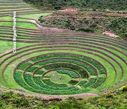 Andenes de Moray