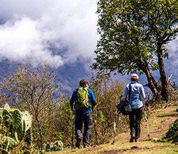 Turistas haciendo trekking en la naturaleza
